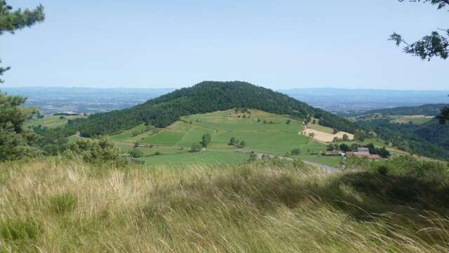 Le Mont Semiol