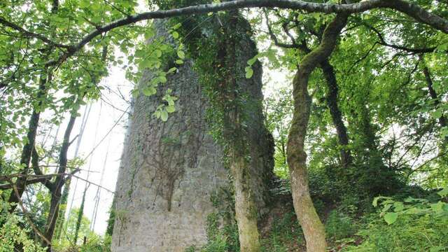 Point de vue des ruines de Montdidier