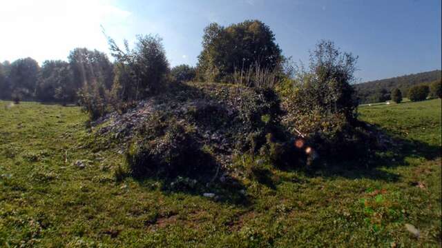 Tumulus de Corveissiat