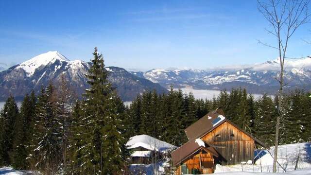 Alpine chalet La Bergerie