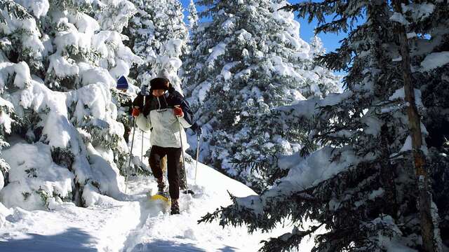 Sortie raquettes : Clairières et torrent face au mont blanc