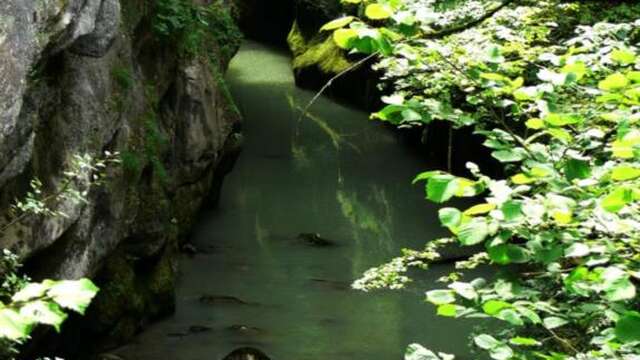 Les gorges du Guiers vif