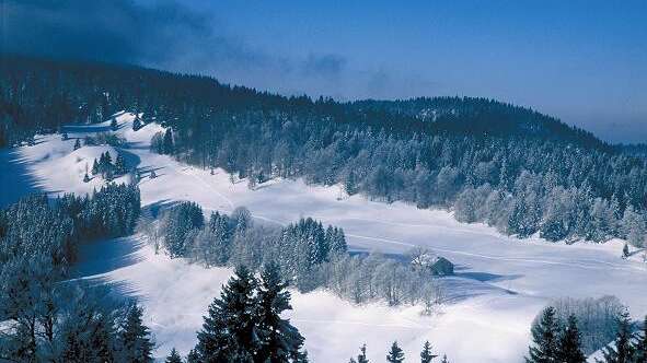 Ski de fond à Belleydoux