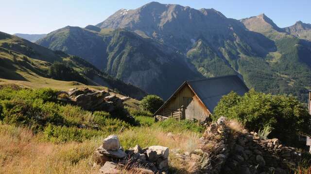 Le Forest des Estaris