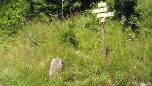 Petites Balades Le sentier des Epines Blanches