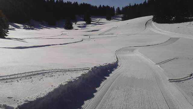 Leçon particulière de ski nordique : skating, classique, biathlon