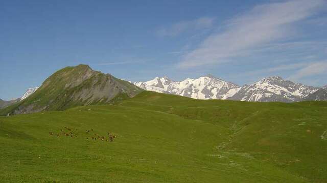 Le col de Véry