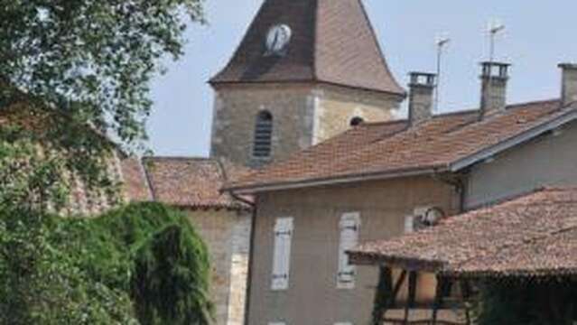 Le Vieux Jonc