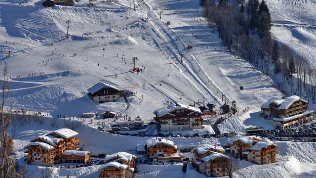 collective ski lesson
