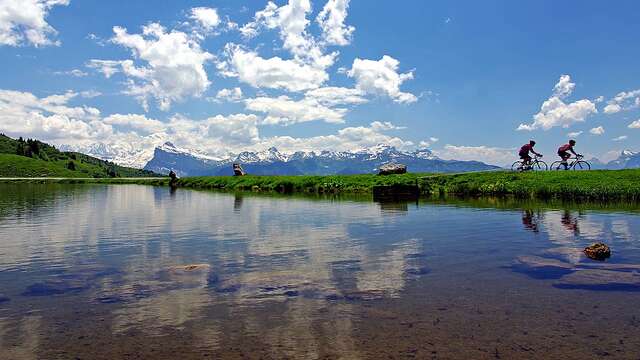 Col de Joux Plane versant nord