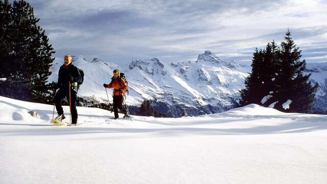 Sortie raquettes : Balade panoramique sur les crêtes