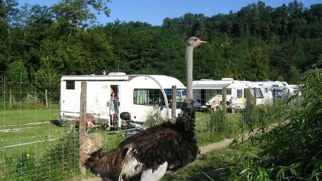 Aire de service/accueil - camping-car