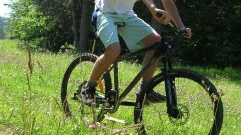 VTT ou VTC