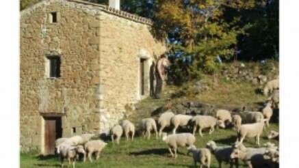 Ferme du Clos de l'Orme