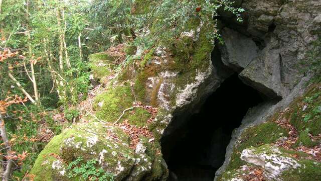Grotte à l'ours