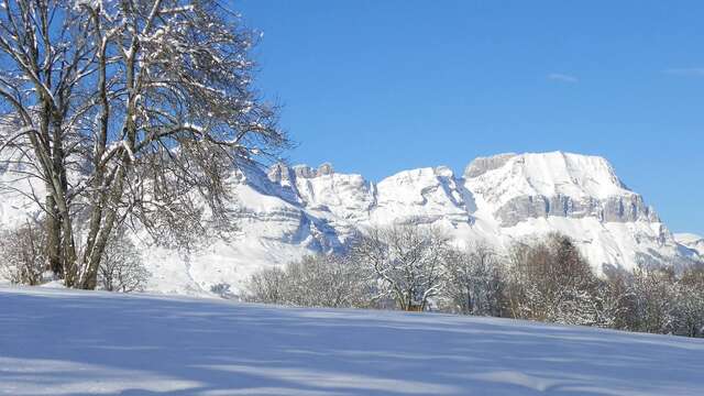 Sortie raquettes à la journée "Massif des Aravis"