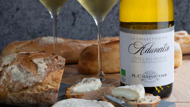 Atelier "Vin & fromage" - M.CHAPOUTIER