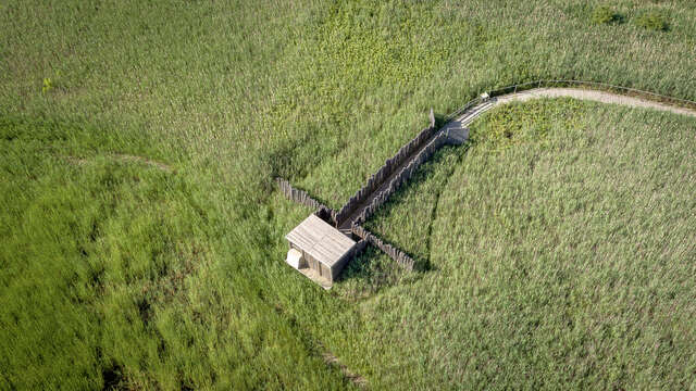 R09 - Etang salé de Courthézon