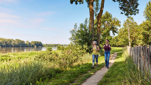 The Loire and the horticultural fields