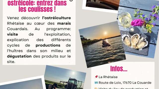 Visit an oyster farm in the heart of the marshes