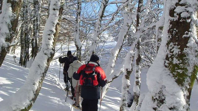 Randonnée pédestre, éducation à l'environnement, loisirs sportifs de nature