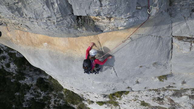 Escalade et Parcours Aventure : Des Guides pour l'Aventure