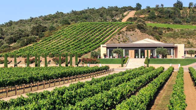 Théâtre dans les vignes : Couple en danger