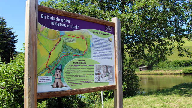 Sentier pédagogique - Entre ruisseau et forêt