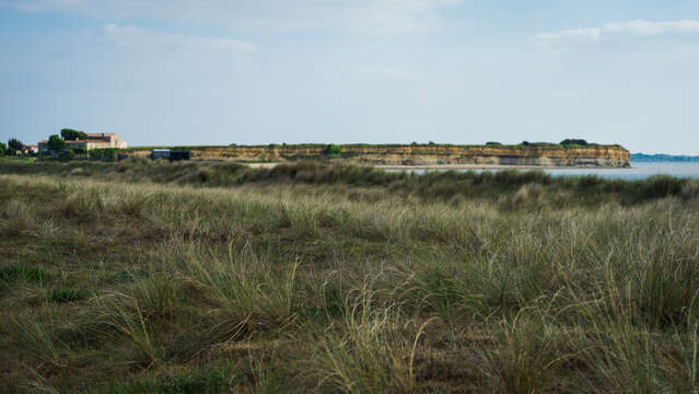 Guided tour: The 4 seasons of the Marais d'Yves nature reserve