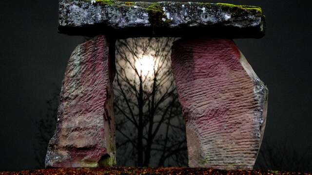 La loi des grands nombres : comment retrouver Pi avec des baguettes? - Conférence UPT