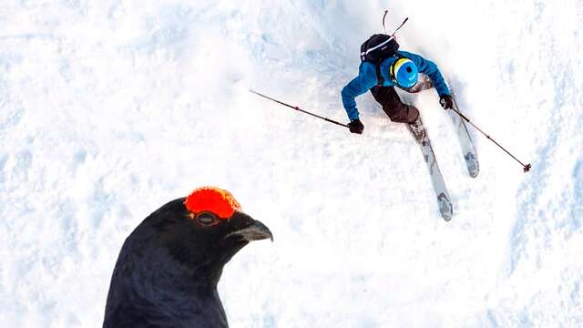 Film-rencontre du Parc "Hors-piste, sensible et sauvage"