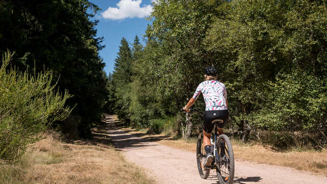 Circuit VTT  Les barrages