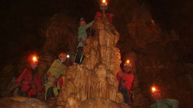 Höhlenforschung: Back to the tree