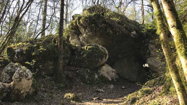 Balade ressourçante - Sur les traces du loup