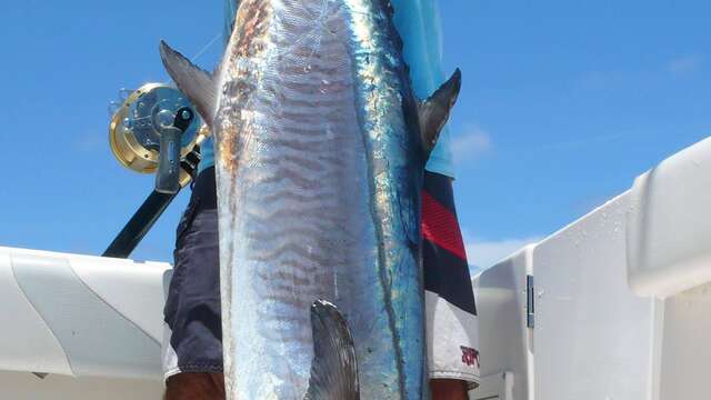 New Caledonia Fishing Safaris