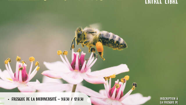 Journée des Plantes et de la Biodiversité