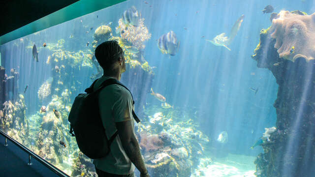 Hop On Hop Off + Aquarium des Lagons (Nouméa Double Deckers)