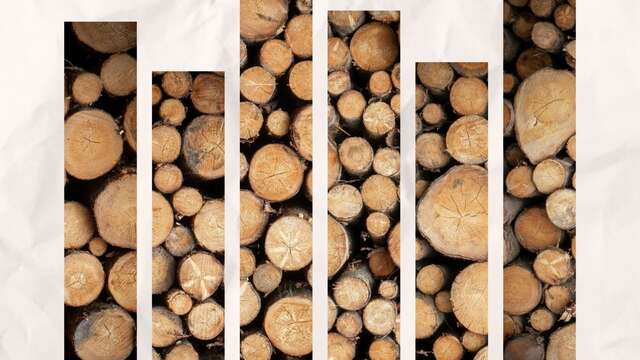 Exposition photos - Tas de bois