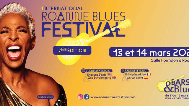Roanne Blues Festival