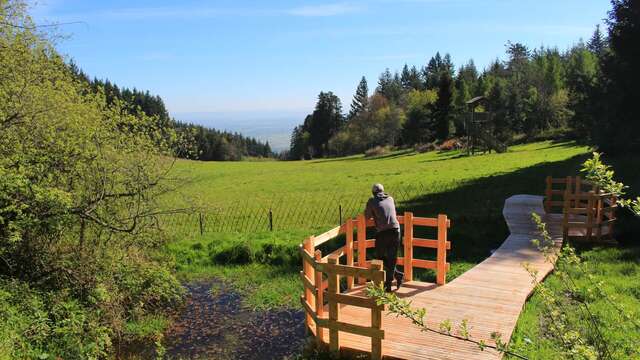 Après-midi aux Grands Murcins