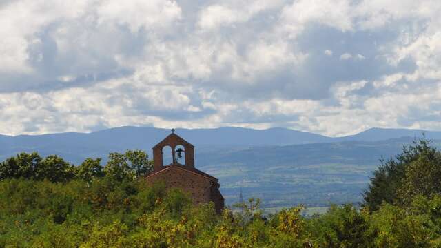 Sentier Jarnicoton