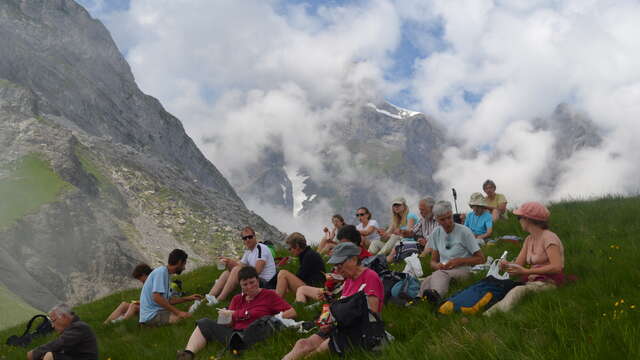Journée botanique en montagne