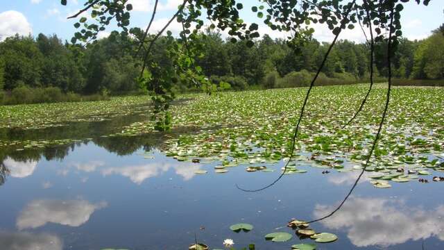 Etang de But, ENS de l'Ain