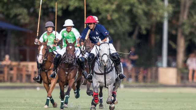 Tournoi de polo - Open du soleil