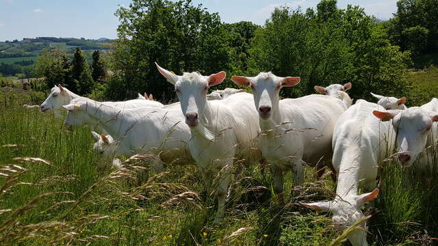 GAEC des Baratons