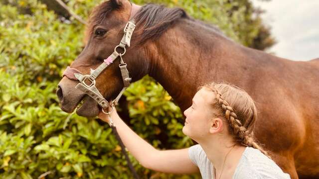 La Petite Cavale d'Erika - Stage poney demi-journée