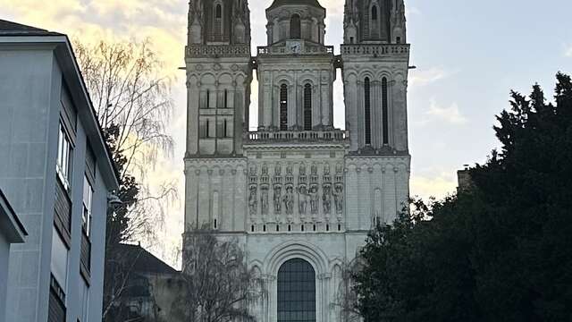 Visite découverte de la galerie Kengo Kuma et de la place Monseigneur-Chappoulie