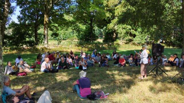 Lectures sous l'arbre