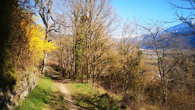 Les terrasses d'Ayse