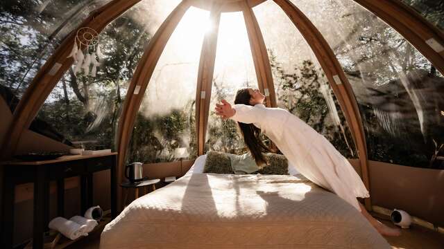 The wood-frame bubble